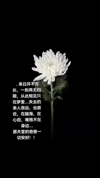 有多少怀念，值得用心追思