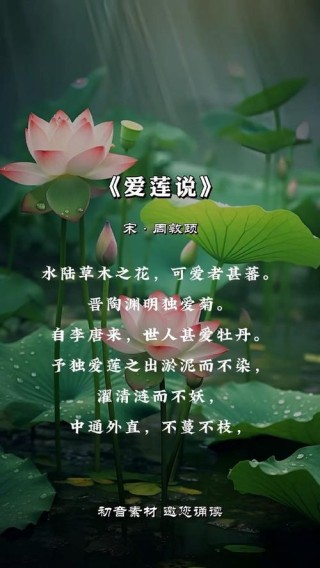 莲花爱情故事