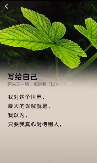 句句不提失望却句句失望，隐藏失望的句子，心有遗憾，言不由衷
