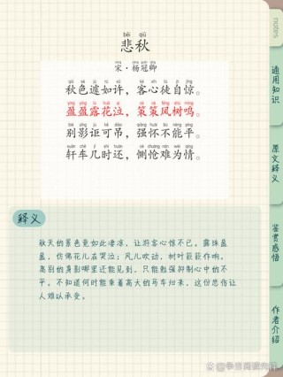 浅浅的秋，淡淡的愁