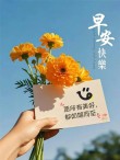 9月6日早安正能量温柔语录句子：每天要全力以赴的开心，愿每一个善良、可爱的你，都能被这个世界温柔以待！