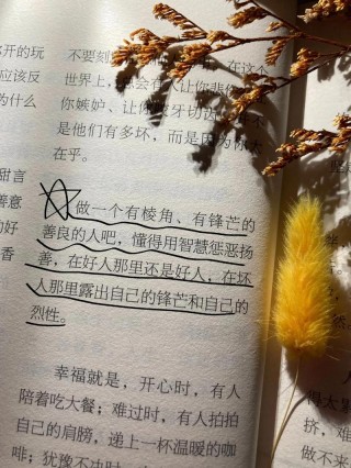 一句话点亮人生书籍，一句话点亮人生的智慧书