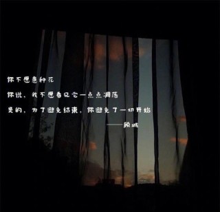 关于花凋谢的伤感说说 这一刹那我愿你为你驻守