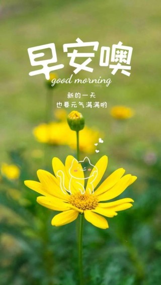 每日正能量 每日一句，每日正能量，一句鼓舞心志的箴言