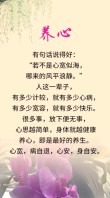 那些让人心静优美的句子