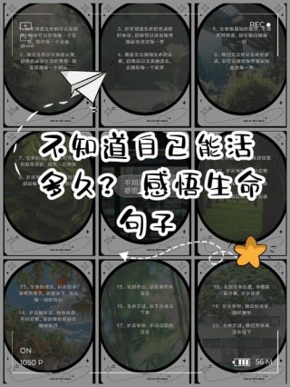 热爱生命的名言，读懂人生真谛（深度探寻热爱生命的名言）