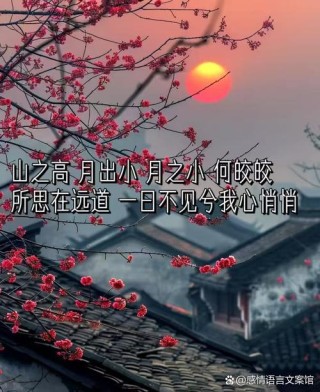 意境唯美的古风文案｜风月｜清梦｜星河