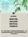 闽中孤独闻知了 （打一字）