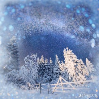 雪花大自然的一场梦