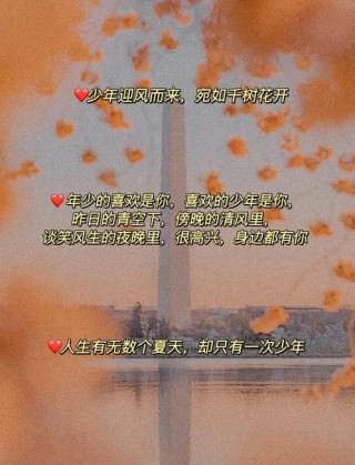 文案：我的青春语录