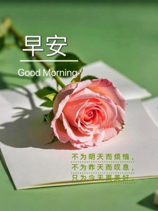 “早上起床必看的励志句子❤”