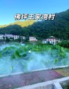 分田分到王家湾 （打一字）