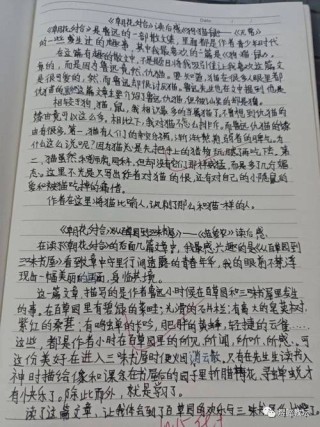 鲁迅《朝花夕拾》里经典段落