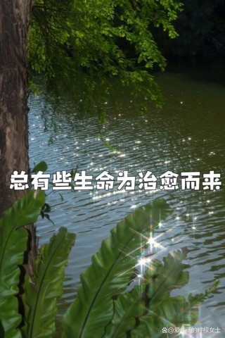 生命的守望