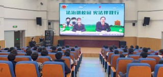 景洪市青少年开展社会主义核心价值观教育活动——法治篇