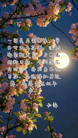 若见花开，聆风待葬，谁许你一世欢颜，谁伴你红尘清欢