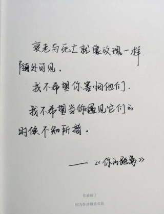 沈从文笔下最美的18句情话，你最喜欢哪一句