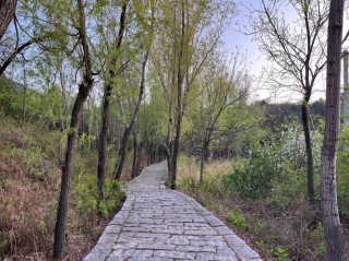 小路