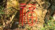 一到村前独自行 （打一字）