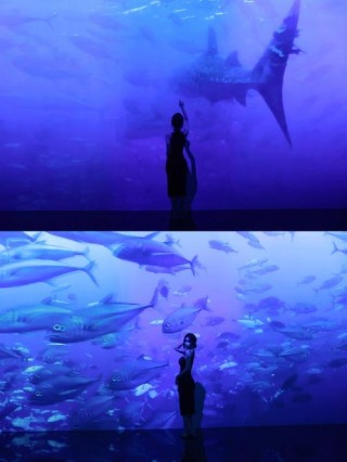 这里动感十足 魅力无限