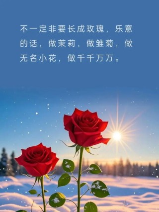世界上所有的惊喜和好运，都是你累积的温柔和善良 励志语录