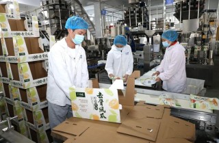 李朝旺：“小产品”做出大产业