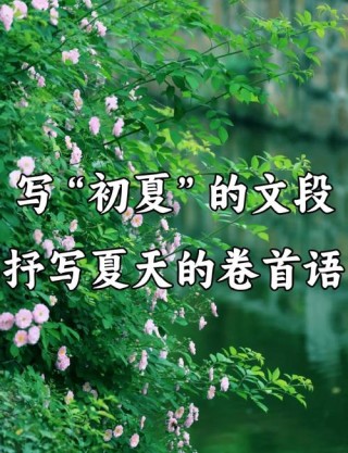 初中作文素材 描写夏天的优美句子