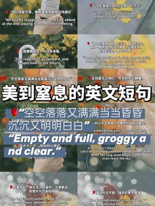 寻找乐趣的句子唯美（寻找乐趣的句子唯美英文版）