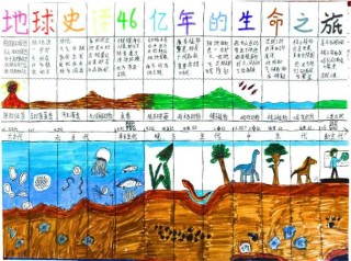 生命的后半段如何开启