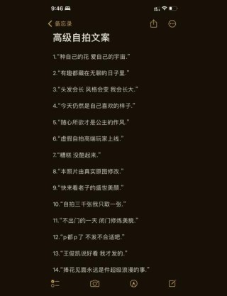 天花板级自拍文案句子