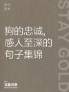 40个写材料关于忠诚的好句子