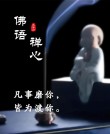 佛心禅语悟人生，佛心禅语悟人生之道
