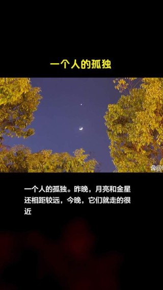 一身孤寂在天涯