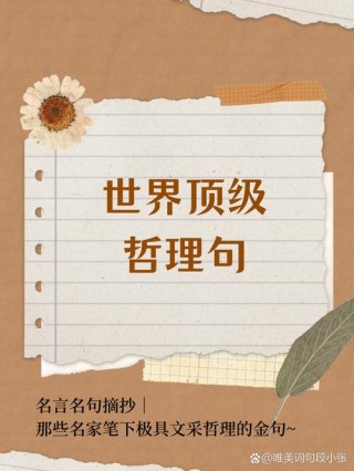 世界顶级哲理句，世界顶级哲理句，探寻人生真谛的智慧之语。