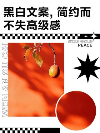 文案｜关于「黑与白」的高级感文案