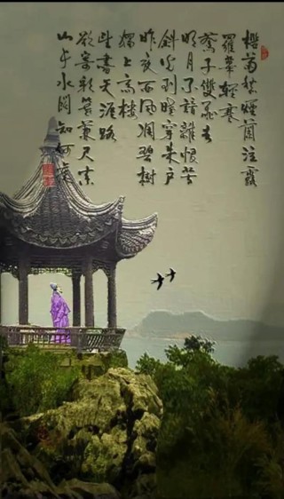 秋风离去，柳荫落