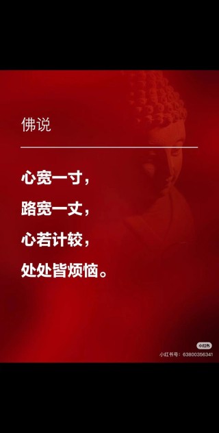 人心如路，越宽容，越宽阔