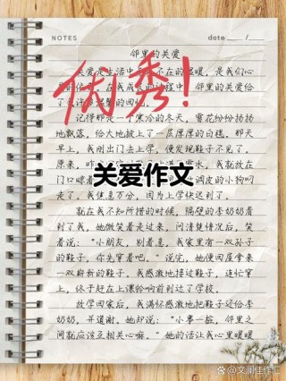 爱心无地域，真爱暖人间作文800字