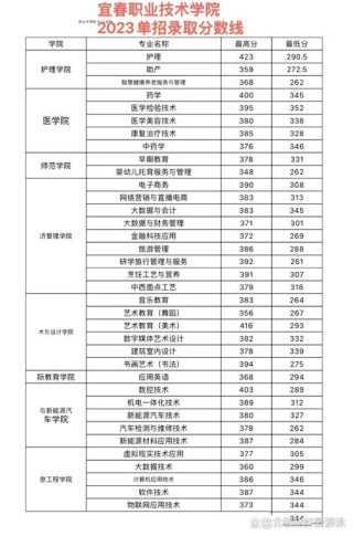 江西软件职业技术大学各专业在湖北招生人数、录取分数线2026（附：招生计划表）