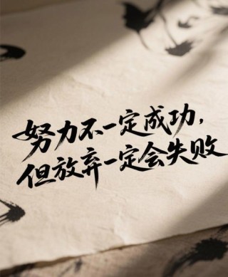 成功是所有努力的总和