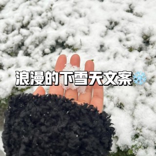 下雪的文案，下雪了唯美句子，短句干净诗意浪漫，发朋友圈