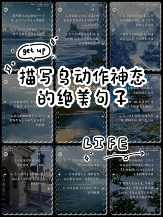 描写鸟的优美句子100句（描写鸟的句子佳句）