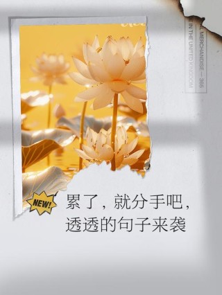 伤感的句子 | 该放弃就放弃，该走就走吧