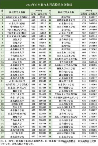 山东华宇工学院录取分数线2025（在各省录取最低分是多少）