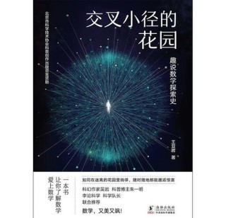 小径交叉的花园