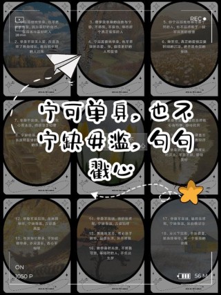 有一种单身叫“宁缺毋滥”