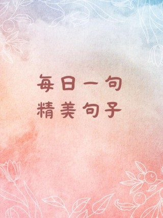 每日一句精美句子，每日一句励志精美句子
