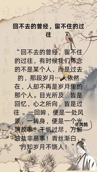 怀念过往唯美的句子，句句经典，你喜欢哪几句呢？