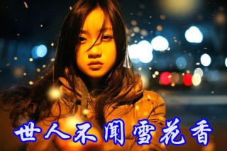 世人不闻雪花香