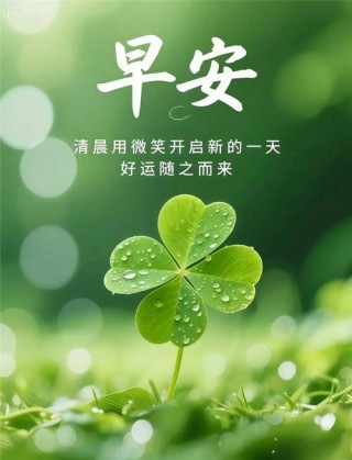 放逐一份心情，还灵魂一份洒脱，让生命一路欢歌，早安